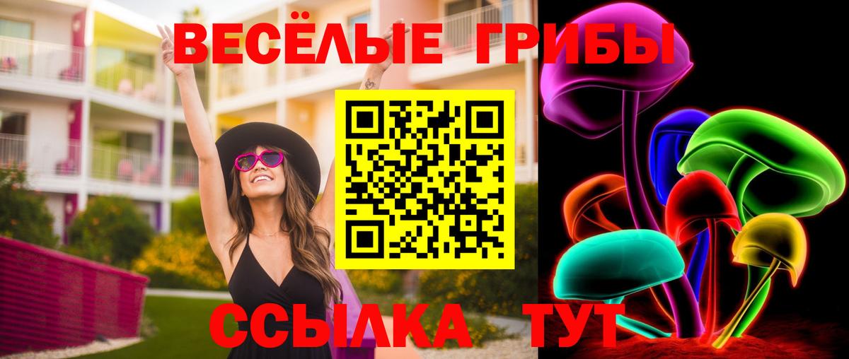 Галлюциногенные грибы Psilocybine cubensis  Вход с VPN  Нурлат  закладки  Галлюциногенные грибы мухоморы 